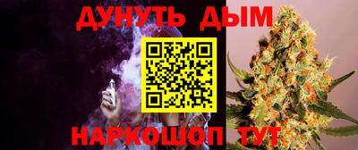 jwh Краснодар