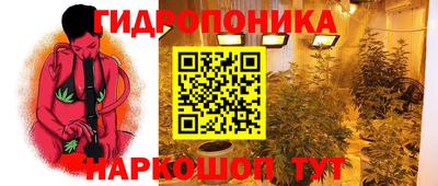 амф Краснокаменск