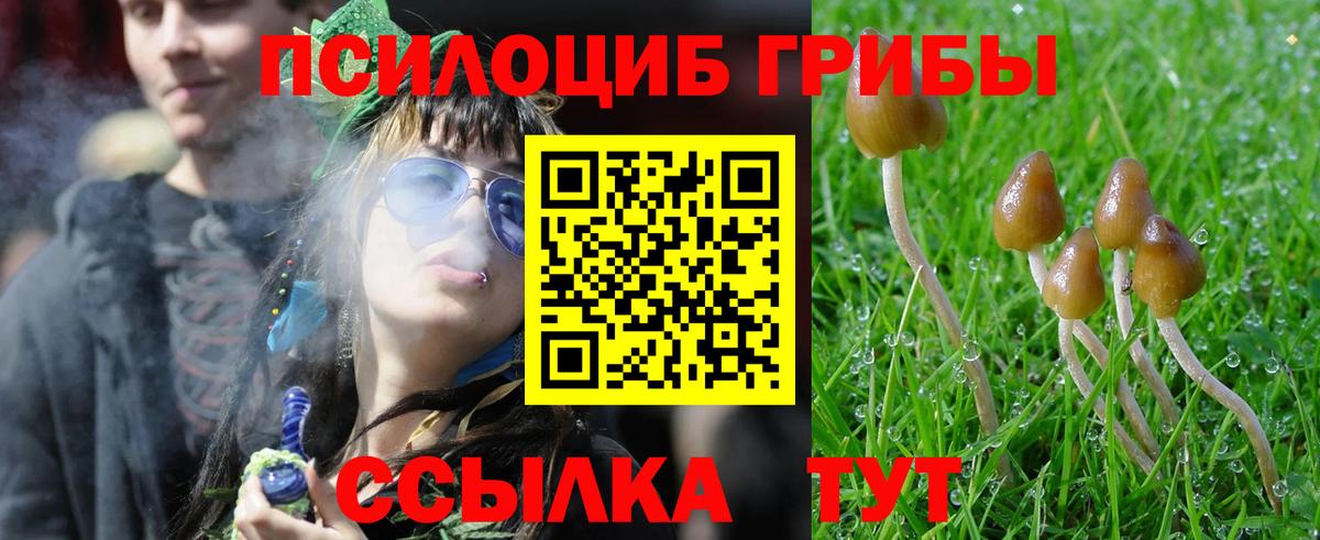 Галлюциногенные грибы GOLDEN TEACHER Кировск